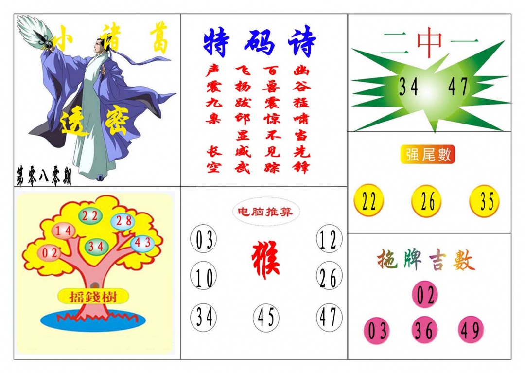 080期小诸葛[图]